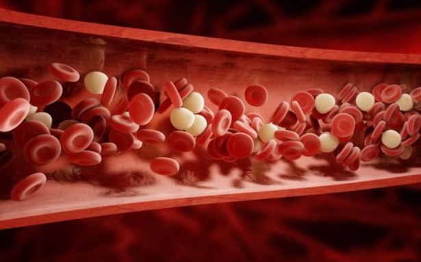 Acidose e Alcalinidade do Sangue.