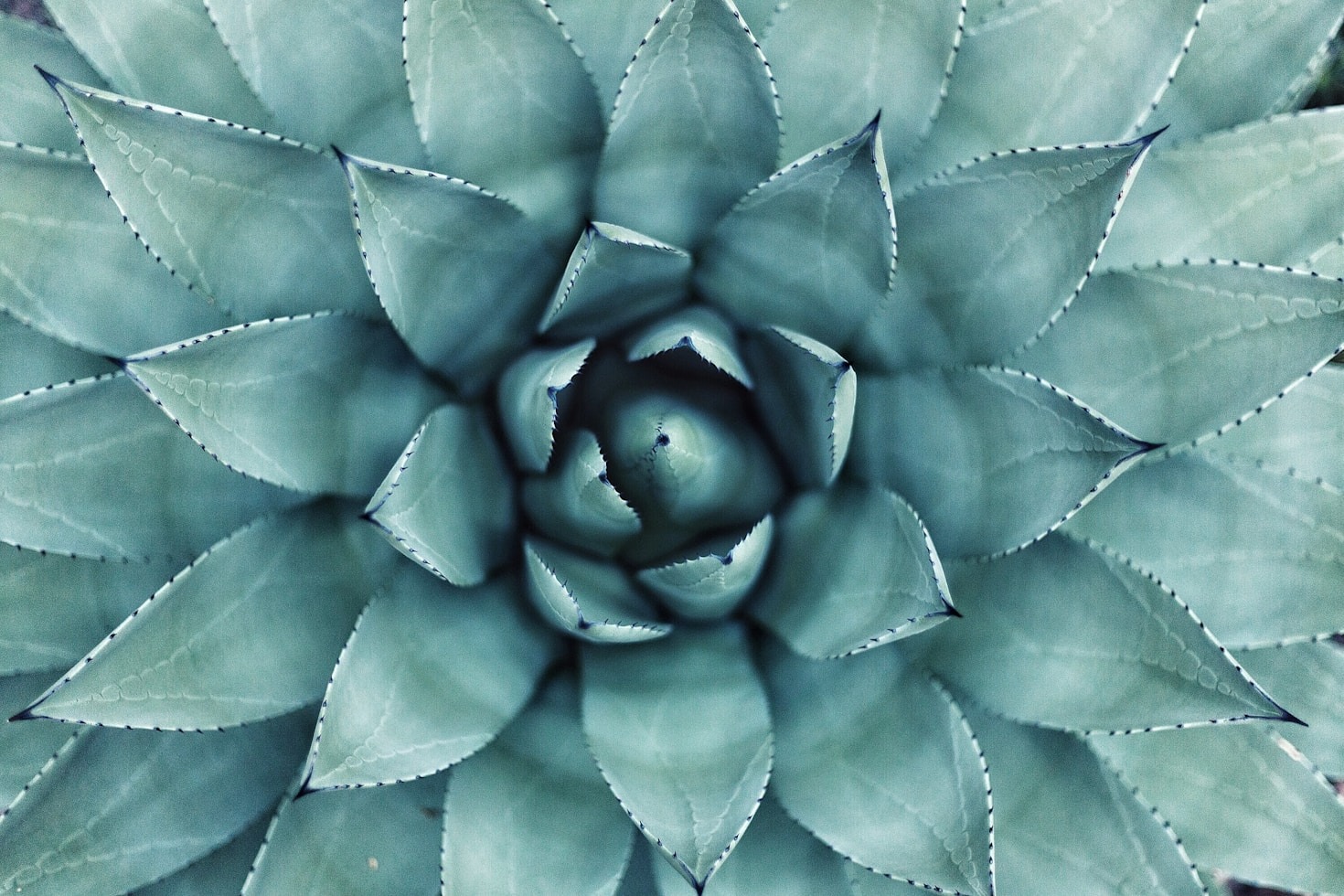 Por Que Escolher Naturologia Clínica?